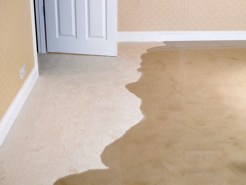 bedroom-carpet-with-water-damage