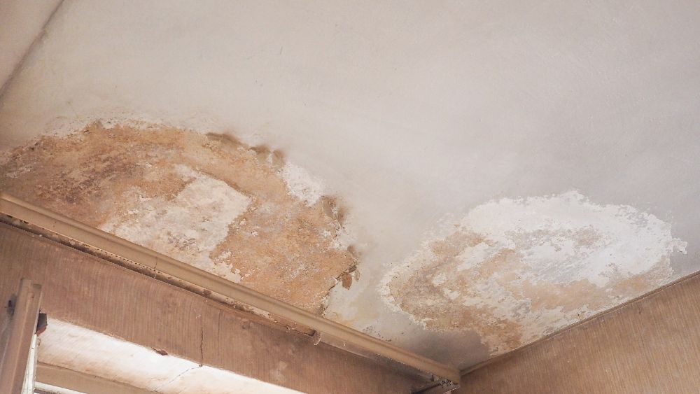 pink-mold-on-ceiling-from-water-damage